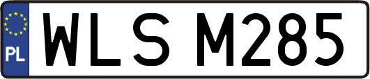 WLSM285