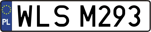 WLSM293