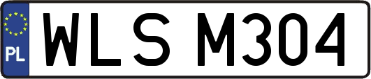 WLSM304