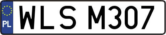 WLSM307