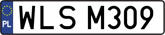WLSM309