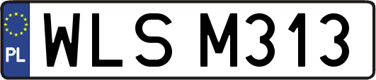 WLSM313