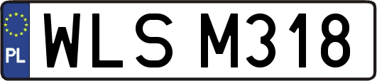 WLSM318