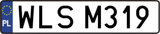 WLSM319