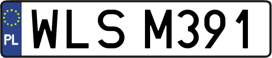 WLSM391