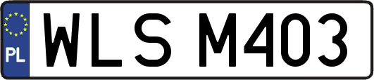 WLSM403
