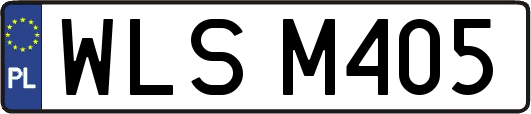 WLSM405