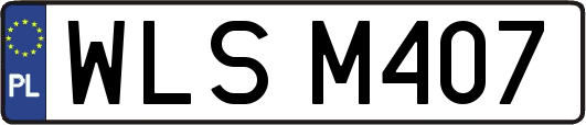 WLSM407