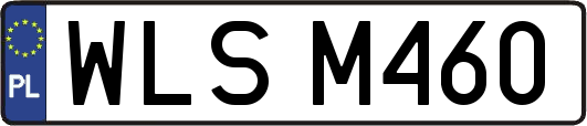 WLSM460