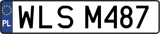 WLSM487