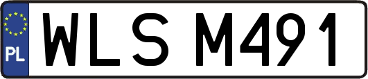 WLSM491