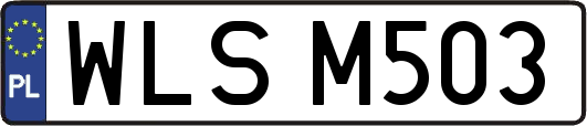 WLSM503