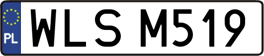 WLSM519