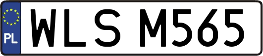 WLSM565