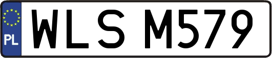 WLSM579