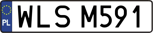WLSM591
