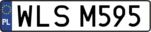 WLSM595