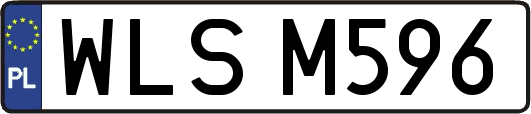 WLSM596