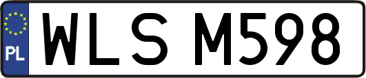 WLSM598