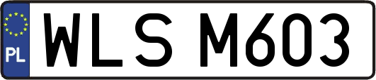 WLSM603