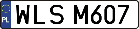 WLSM607