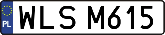 WLSM615