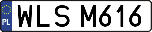 WLSM616
