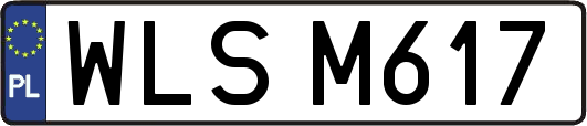 WLSM617