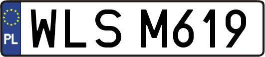WLSM619