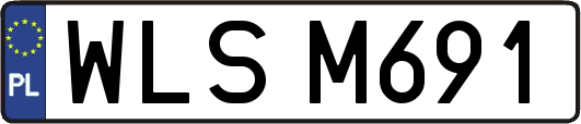 WLSM691