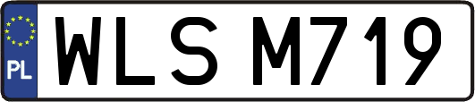 WLSM719