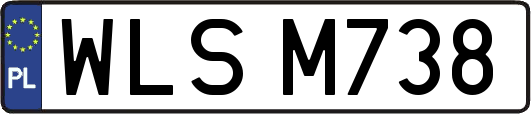 WLSM738
