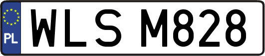 WLSM828