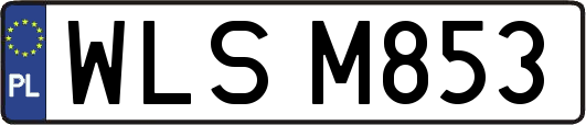 WLSM853