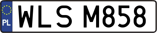 WLSM858