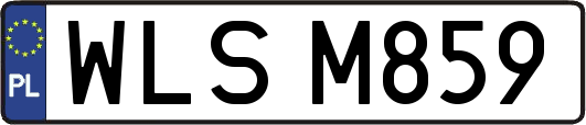 WLSM859