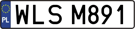 WLSM891