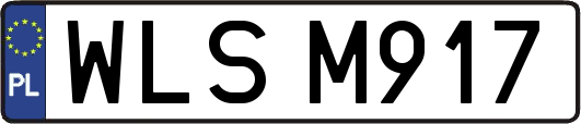 WLSM917