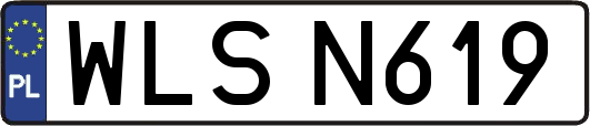 WLSN619
