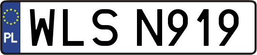 WLSN919