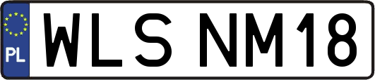 WLSNM18
