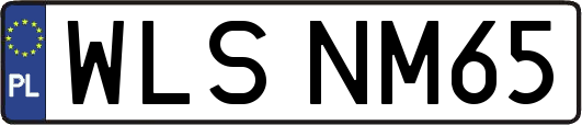 WLSNM65