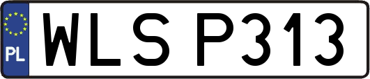 WLSP313