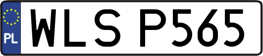 WLSP565