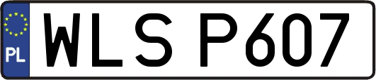 WLSP607