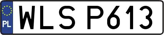 WLSP613