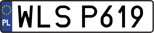 WLSP619