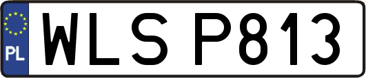 WLSP813