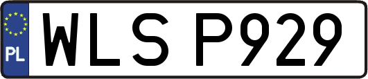 WLSP929