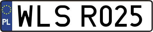 WLSR025